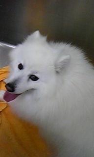 �Ȃ��ނ���