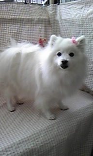 ���Ȃ������