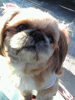 �P�q�����