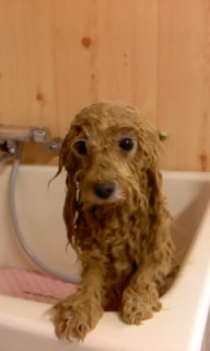 �����̎q�g���~���O��