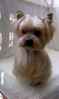 �����[�����