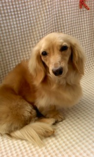 �T�`�����