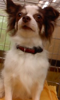 �`���������