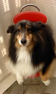 �n�������