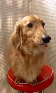 �J�C����