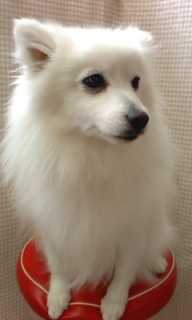 �}���������