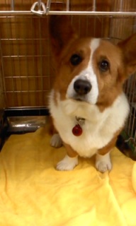 �j�R������