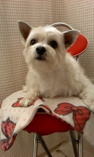 ���q����