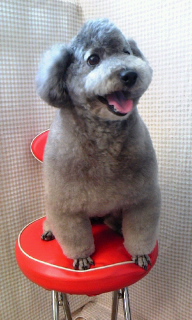 �݂邭�����