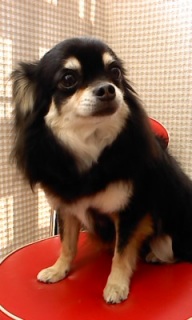 �s�m����