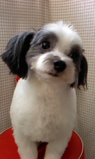 �{�[������