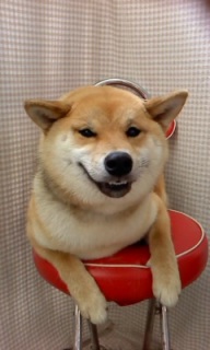���₿���