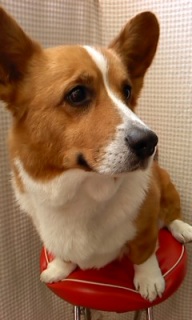 �j�R������