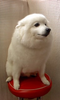 ���낿���