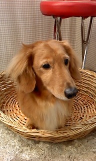 ��イ����