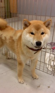 ��イ���񂨔��܂�