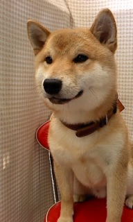 ��イ����