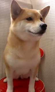 ���݂����