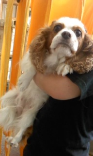 �J�m�������