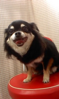 �s�m����