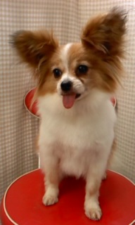 �n�m�������