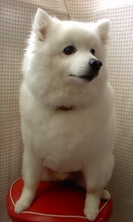 ���낭��
