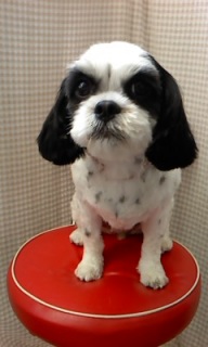 ���������