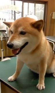 ���낤����