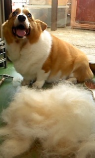 �䂸�����