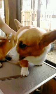 �j�R������