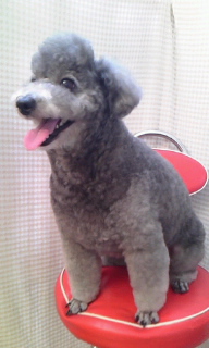 �݂邭�����