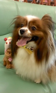 �e������
