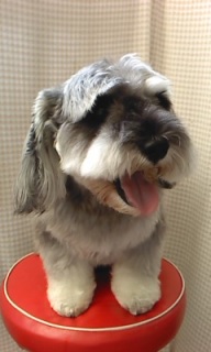 �N���X����
