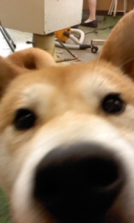 ��H�����