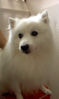 �_������