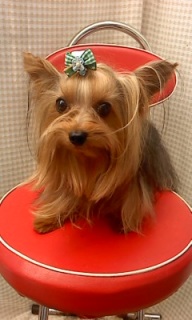 �p������