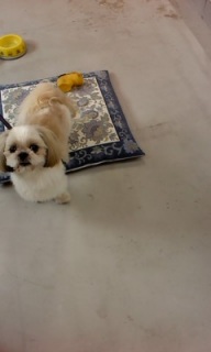 �o���������