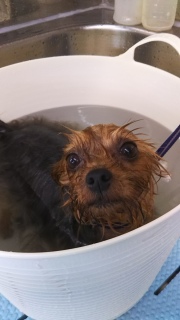 ���i�����