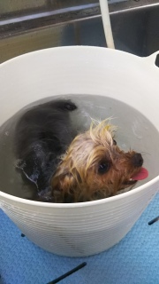 �G���[�����
