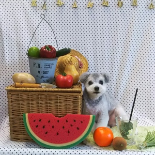 ���񂭂낤����