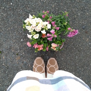 お花を買いました(*´∀｀*)