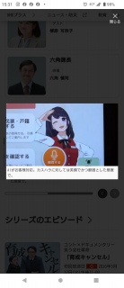 �l�i��ے肷�錾�t�ɑ΂���