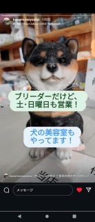 �Č��u���[�_�[�����e��